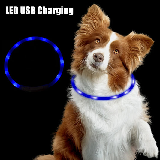 Night Safety Flashing Glow Collar for Dogs and Cats