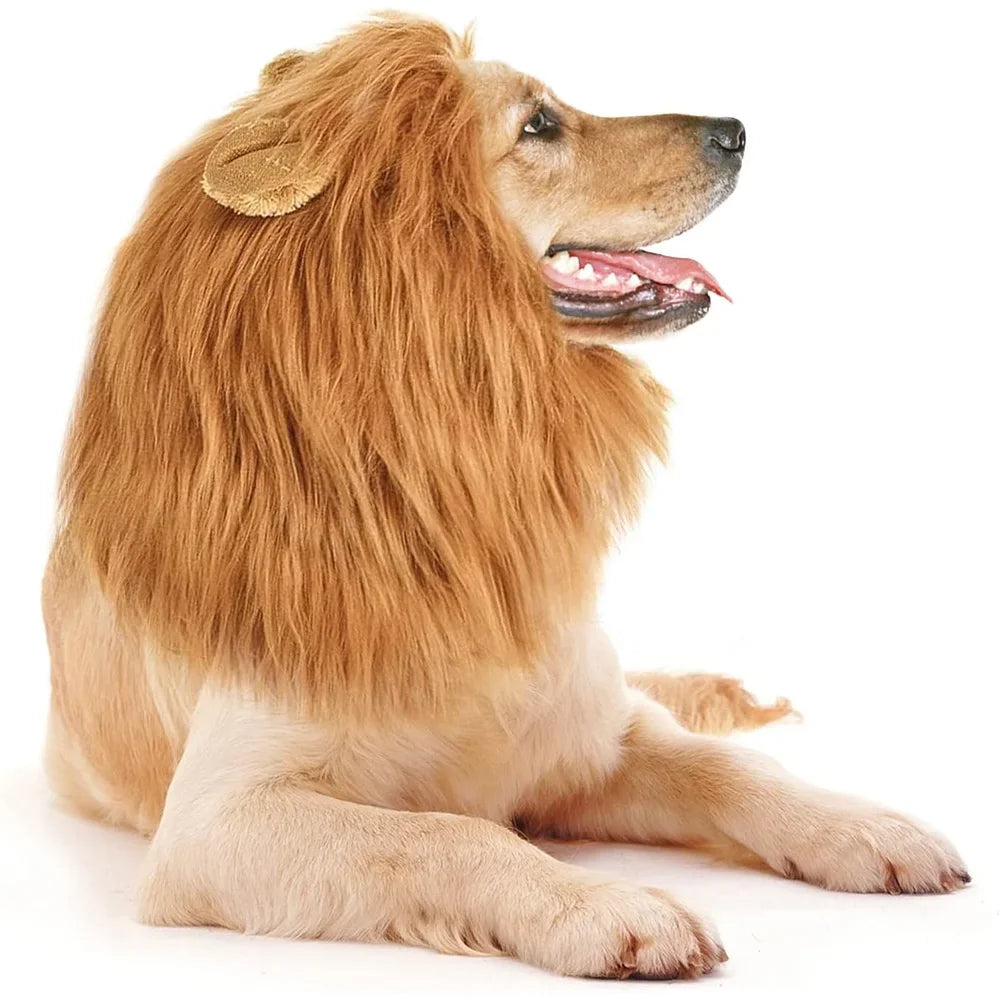 Lion Mane Costume For Dogs