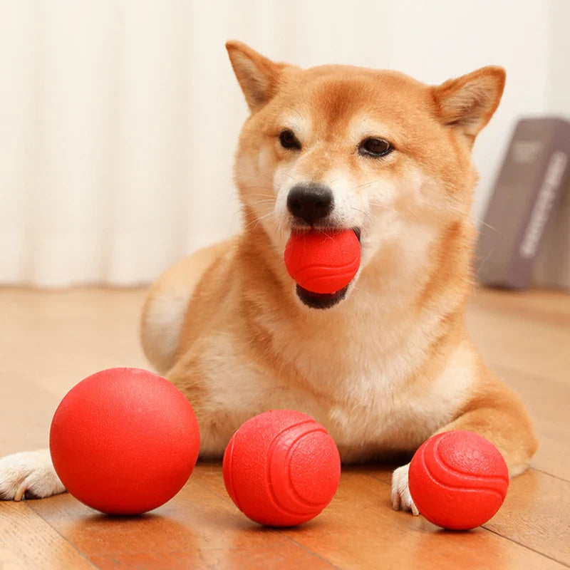 All About Dogs
