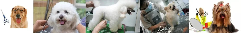 Dog Grooming Scissors