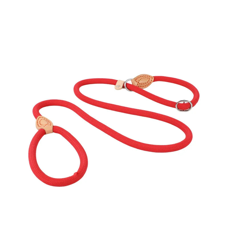 Dog Slip Rope Lead Leash