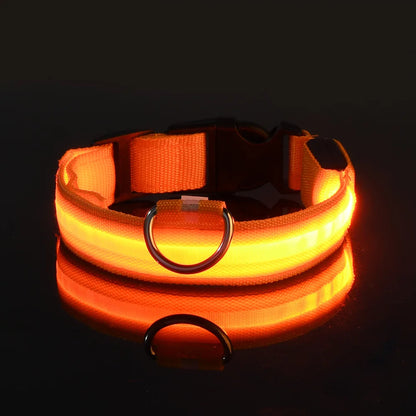 Nylon LED Night Safety Glow In The Dark Dog Leash