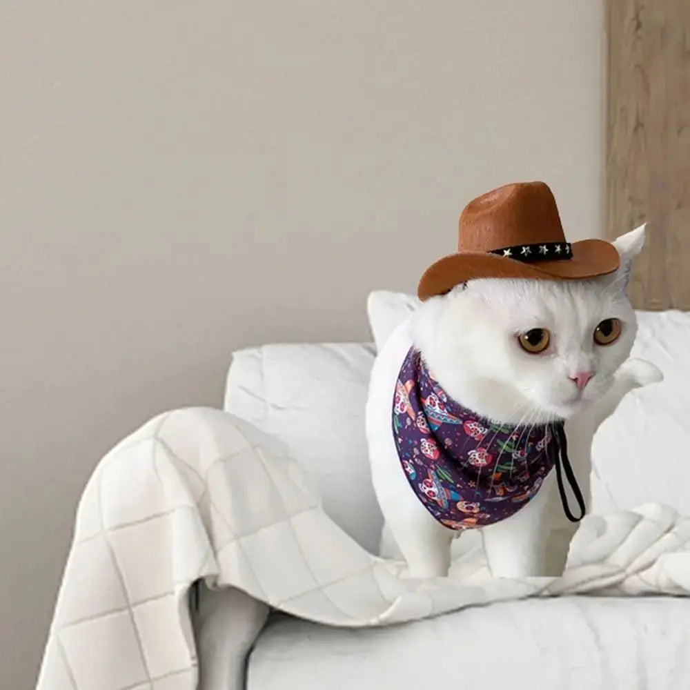 Adjustable Funny Pet Hat for Cats and Dogs