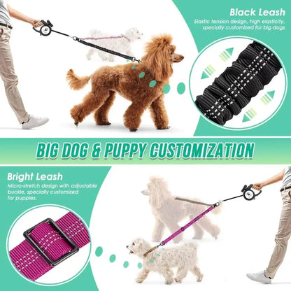 1.6ft Dual Dog Leash Attachment