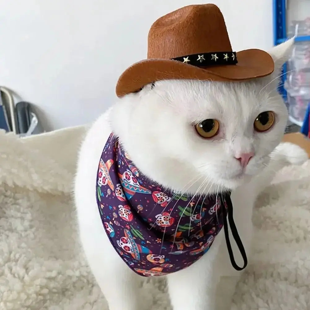 Adjustable Funny Pet Hat for Cats and Dogs