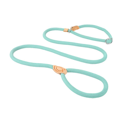 Dog Slip Rope Lead Leash