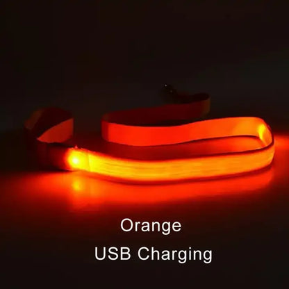 Luminous LED Light Up Dog Leash