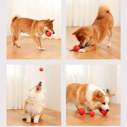 MADDEN S-XL Sizes Solid Rubber Balls for Dogs and Cats