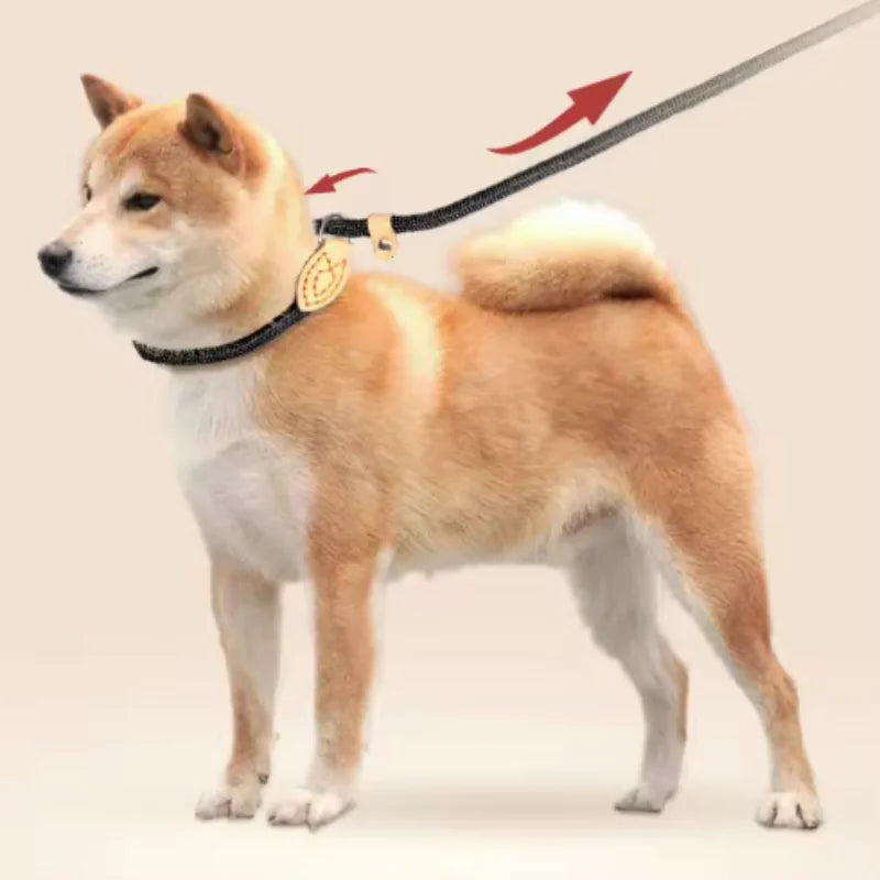 Braided Slip Rope Lead Dog Leash