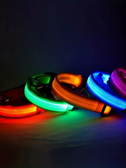 Nylon LED Night Safety Glow In The Dark Dog Leash