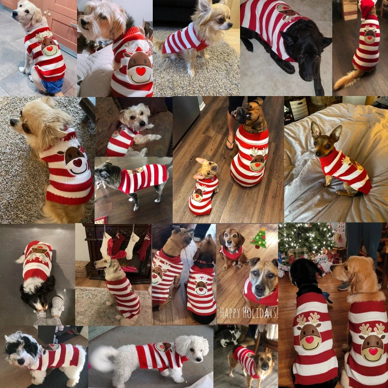 Pet Sweaters for Dogs