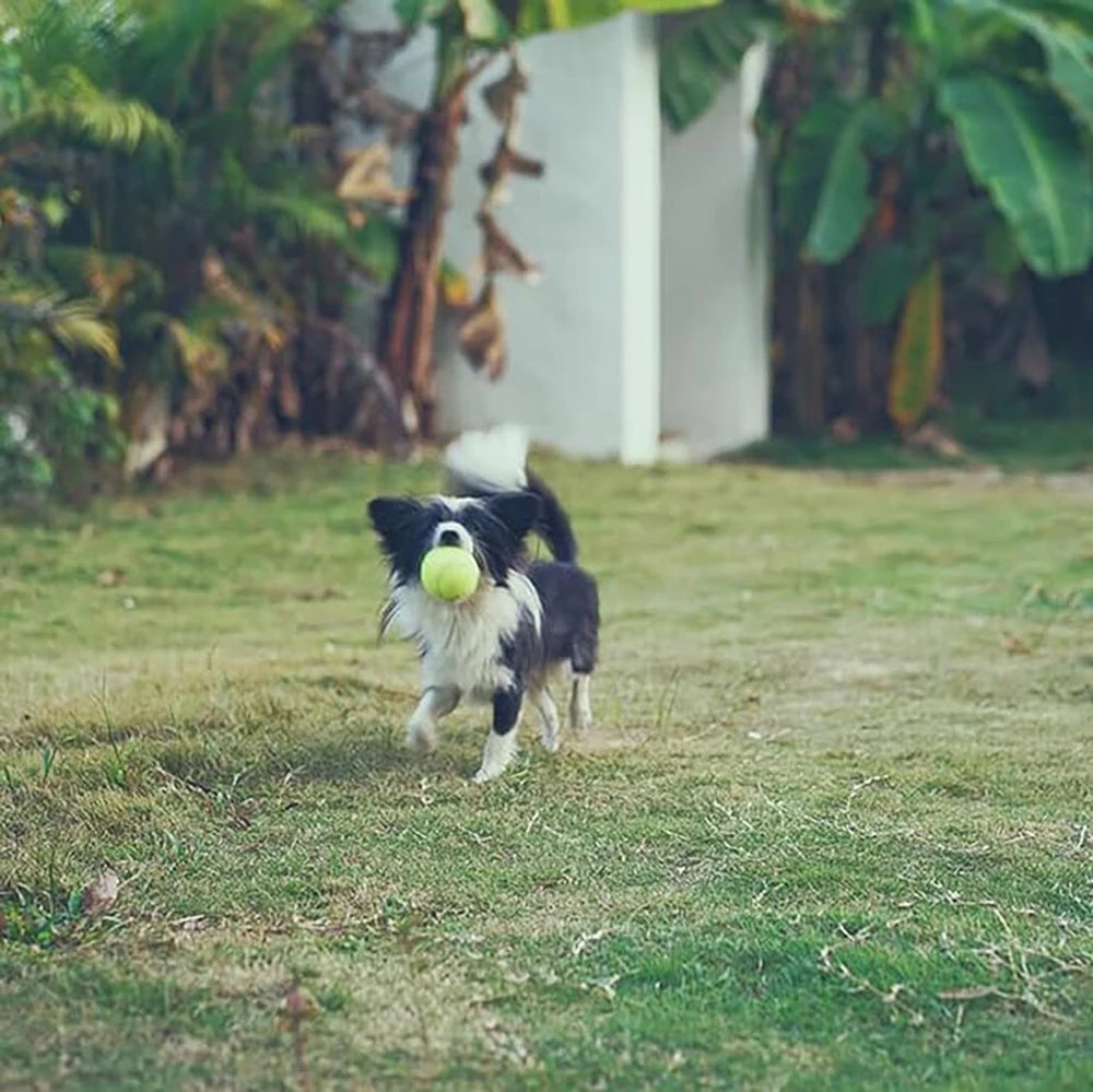 Tennis Balls with Mesh Carry Bag for Dogs and Cats