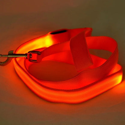 Luminous LED Light Up Dog Leash