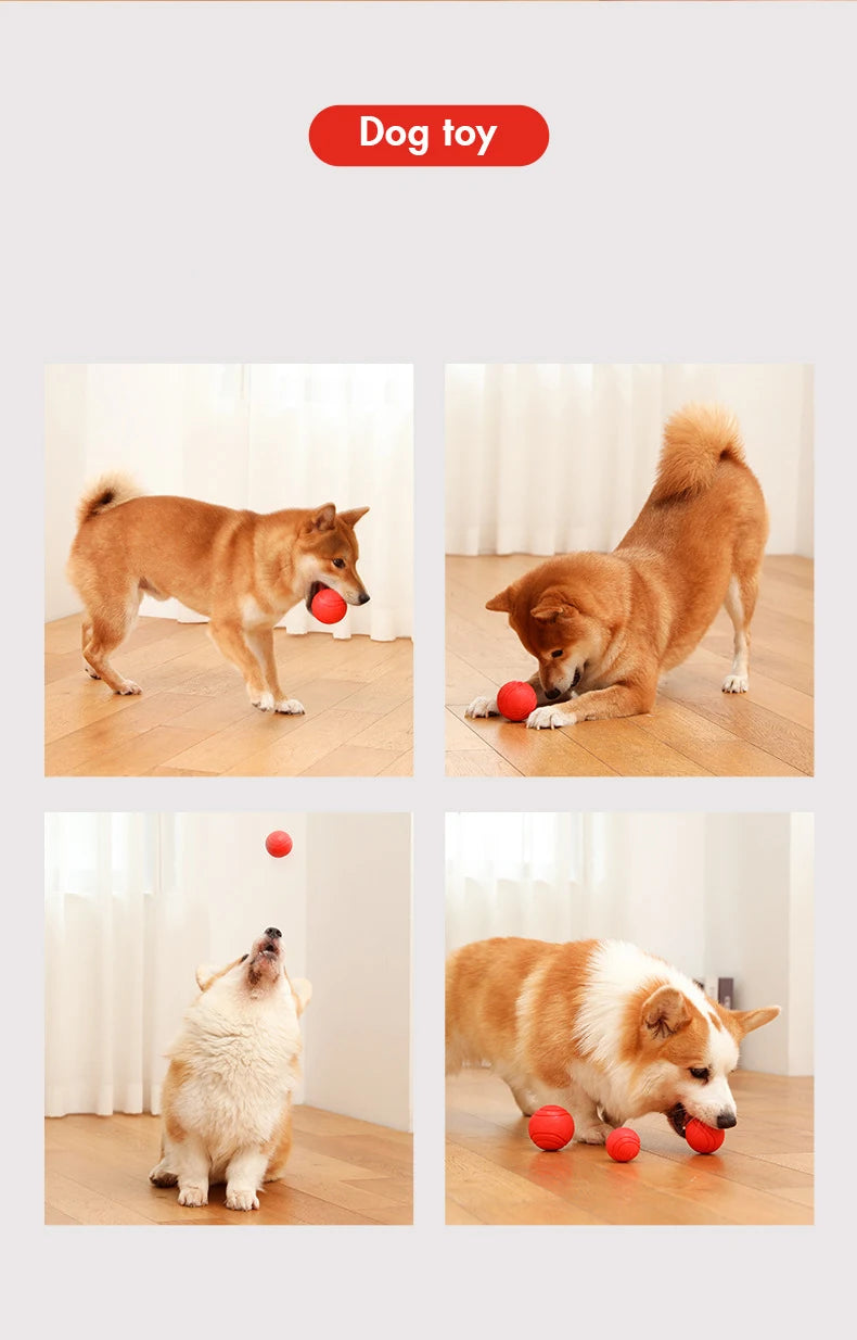 MADDEN S-XL Sizes Solid Rubber Balls for Dogs and Cats