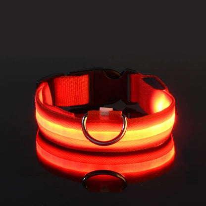 Nylon LED Night Safety Glow In The Dark Dog Leash