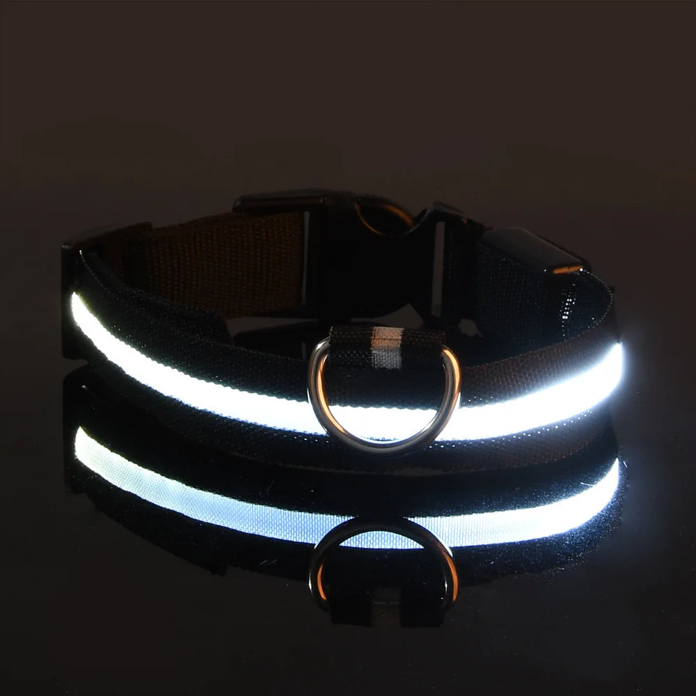 Nylon LED Night Safety Glow In The Dark Dog Leash