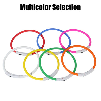 Night Safety Flashing Glow Collar for Dogs and Cats