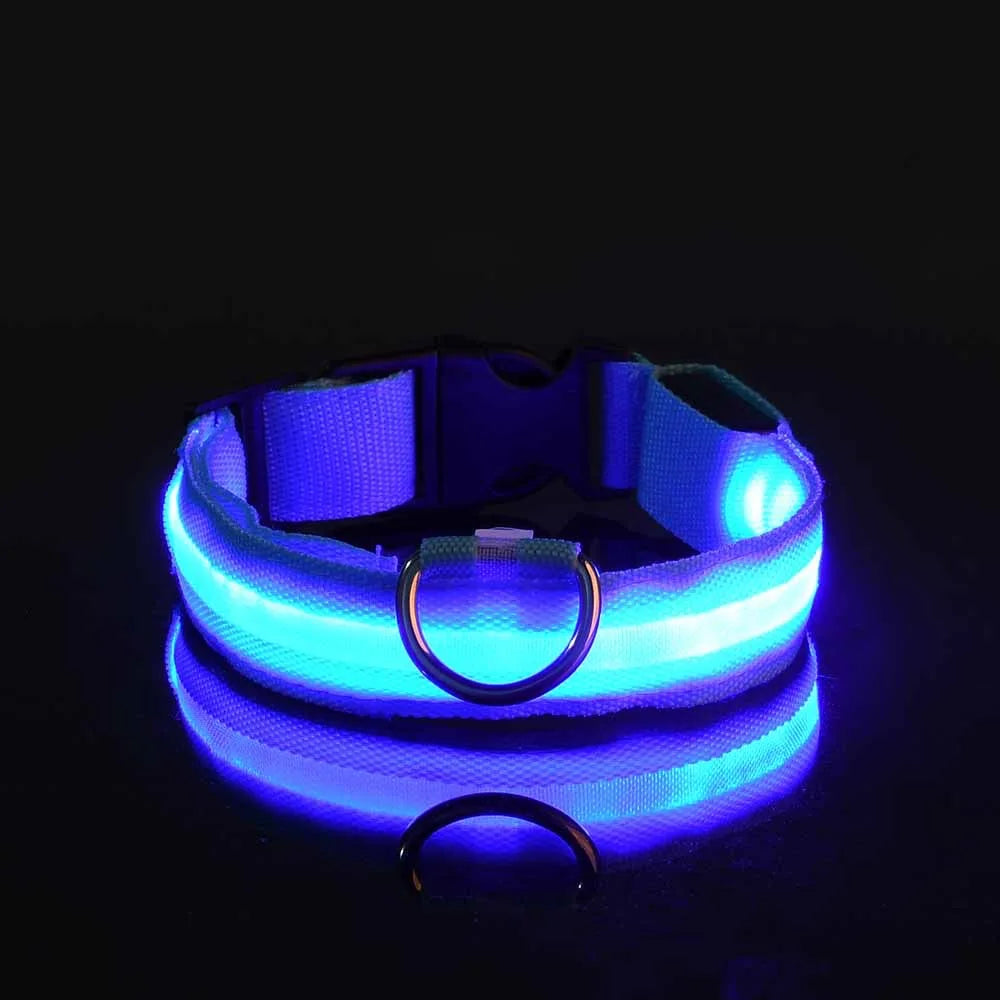 Nylon LED Night Safety Glow In The Dark Dog Leash