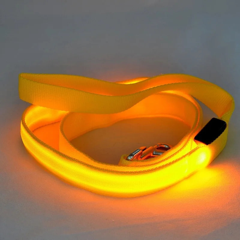 Luminous LED Light Up Dog Leash