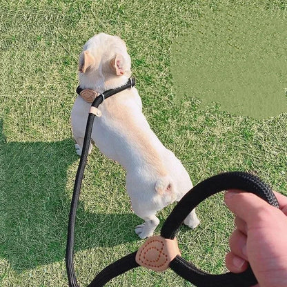 Braided Slip Rope Lead Dog Leash