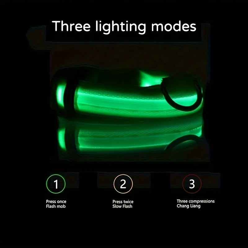 Nylon LED Night Safety Glow In The Dark Dog Leash