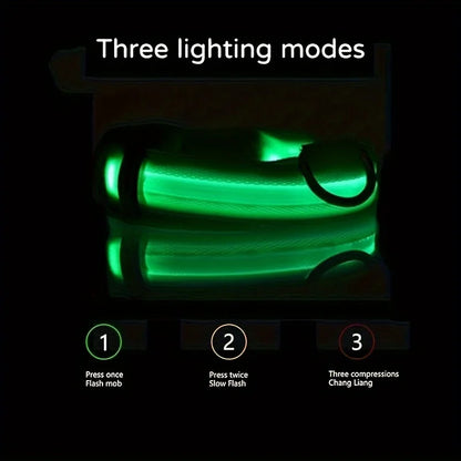 Nylon LED Night Safety Glow In The Dark Dog Leash