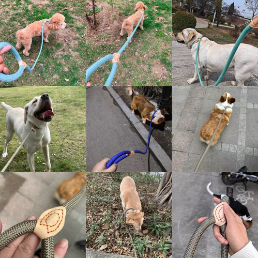 Dog Slip Rope Lead Leash