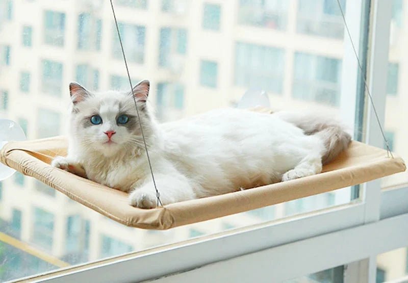 20KG Pet Cat Hammock
