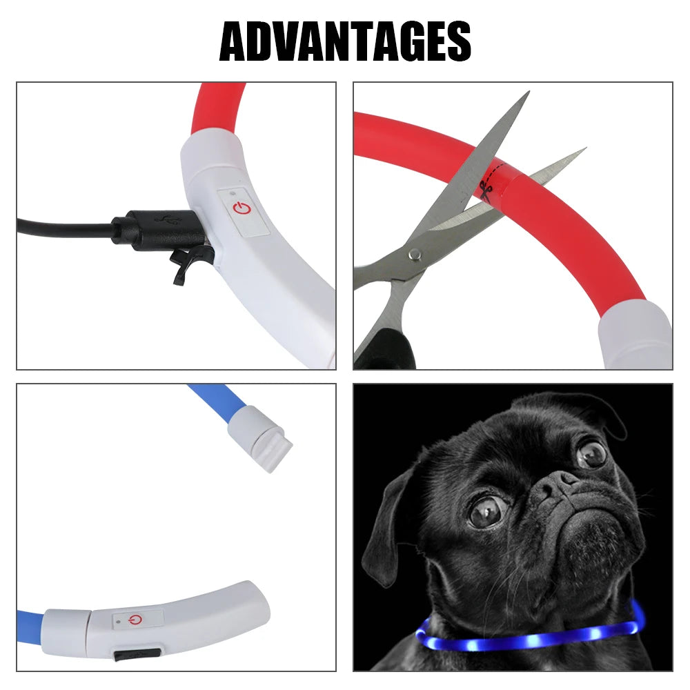 Night Safety Flashing Glow Collar for Dogs and Cats