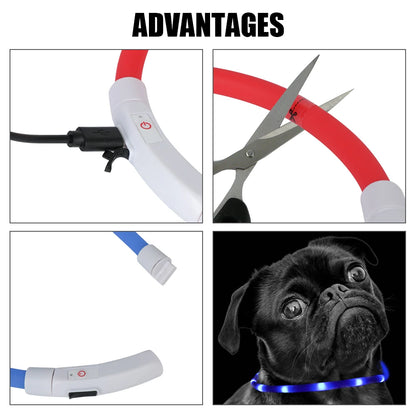 Night Safety Flashing Glow Collar for Dogs and Cats