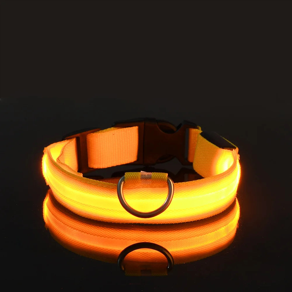 Nylon LED Night Safety Glow In The Dark Dog Leash