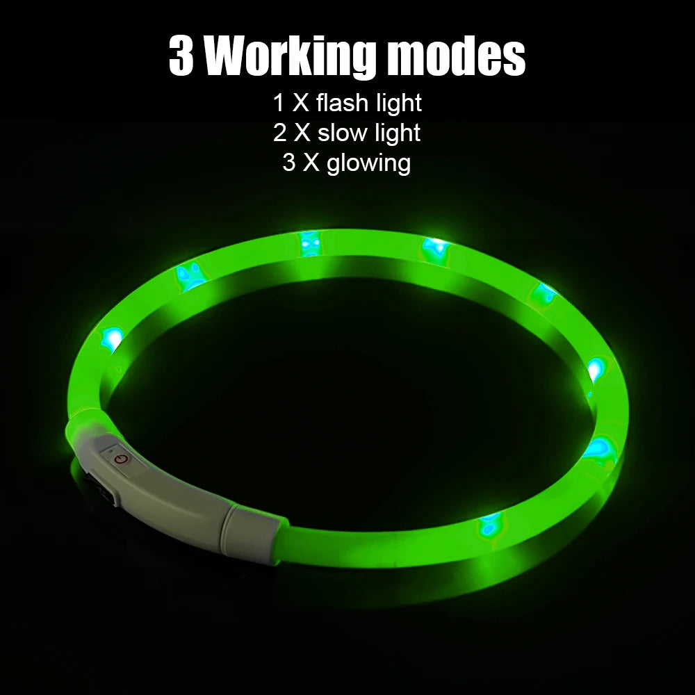 Night Safety Flashing Glow Collar for Dogs and Cats