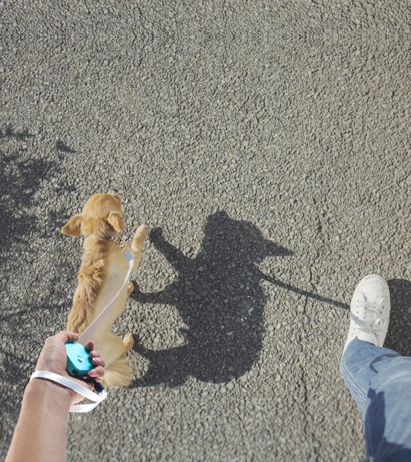 Retractable 2M Dog Leash