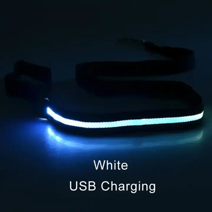 Luminous LED Light Up Dog Leash