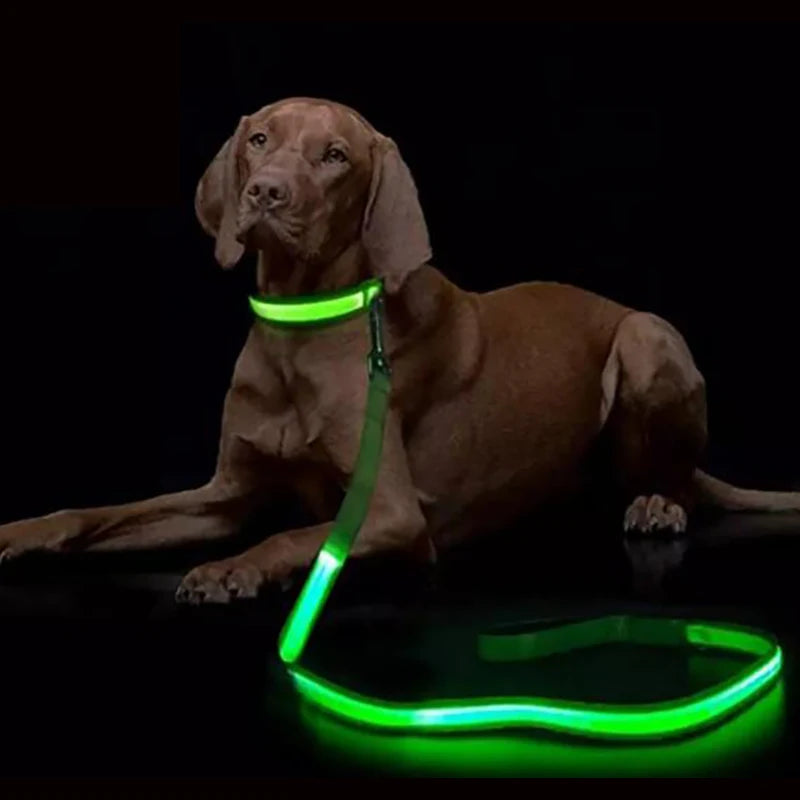 Luminous LED Light Up Dog Leash