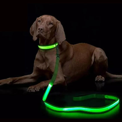 Luminous LED Light Up Dog Leash