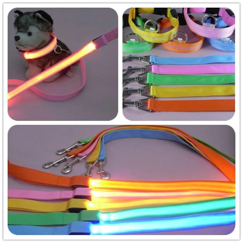 Luminous LED Light Up Dog Leash