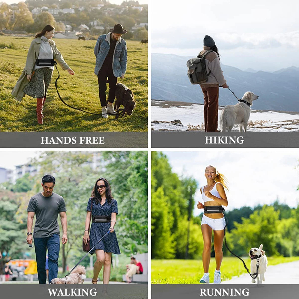 Hands Free Reflective Dog Leash