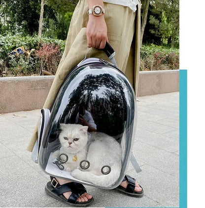 Breathable Pet Cat Carrying Bag for Cats