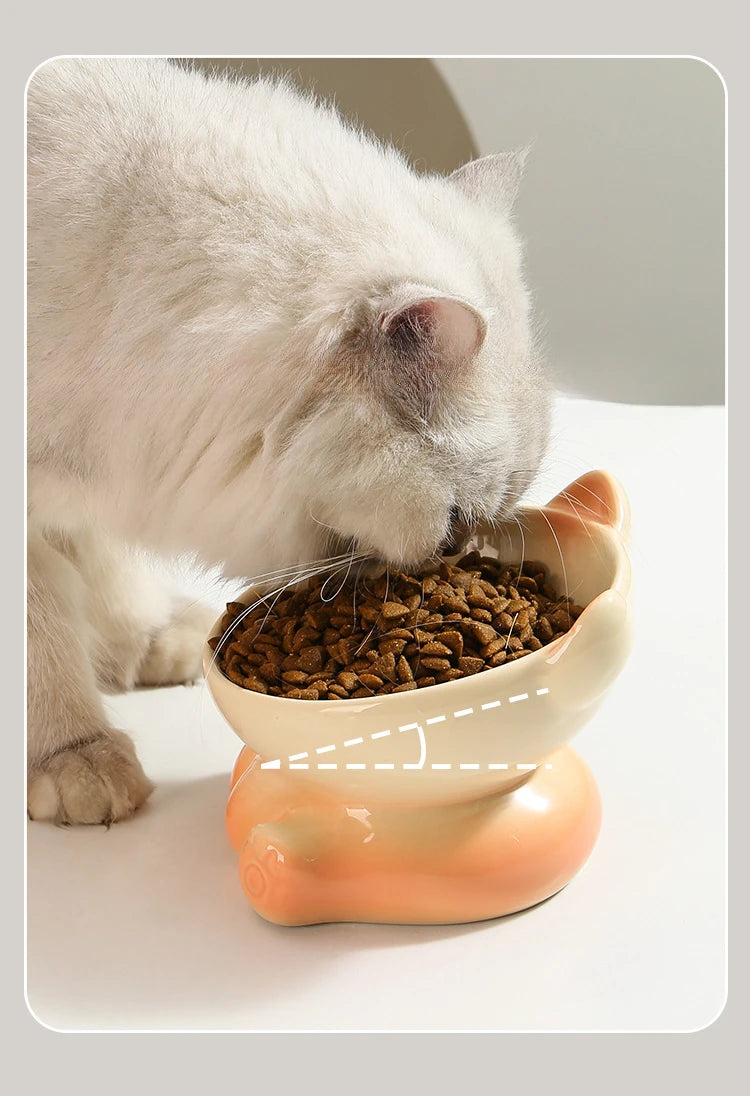 Gradient Ceramic Cat Bowl