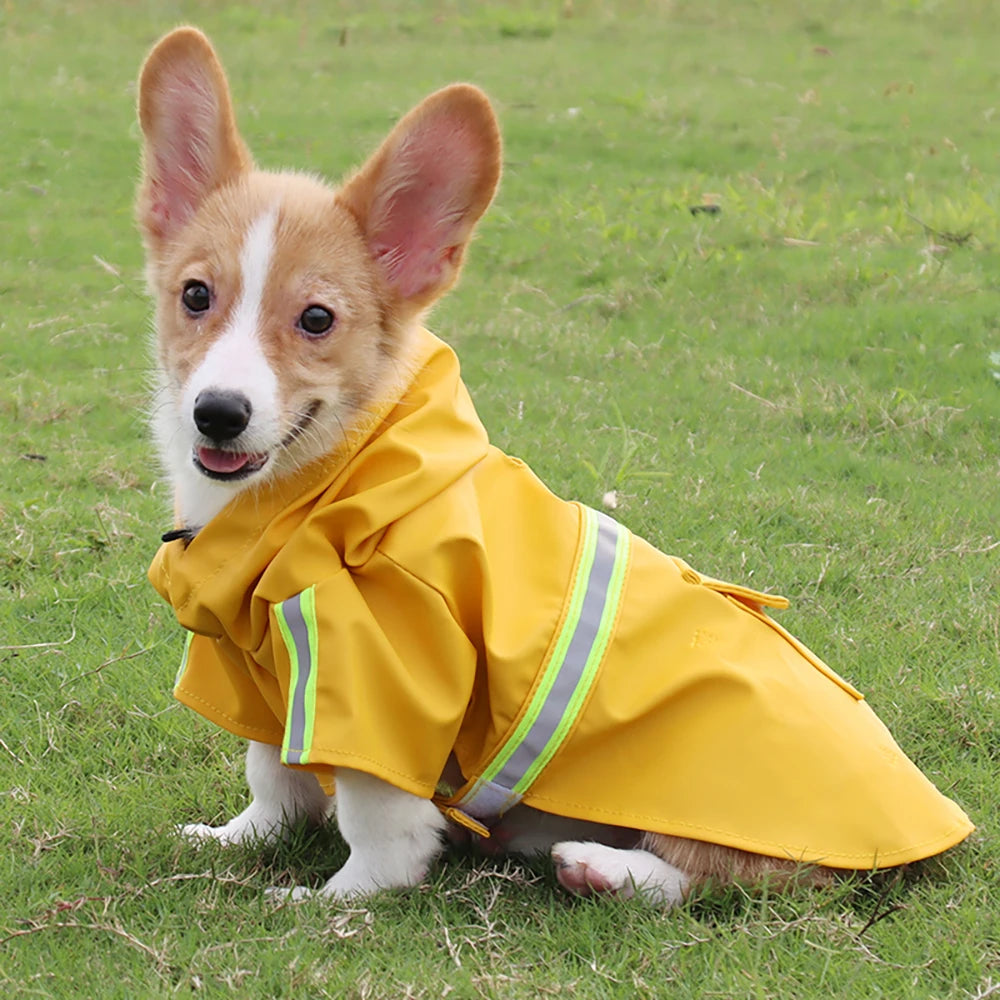 Dog Raincoat - Cloak Style