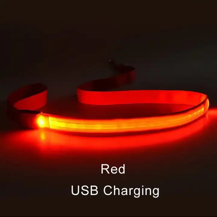 Luminous LED Light Up Dog Leash