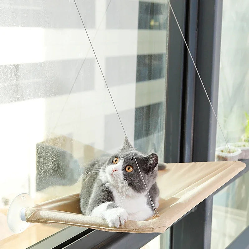 20KG Pet Cat Hammock