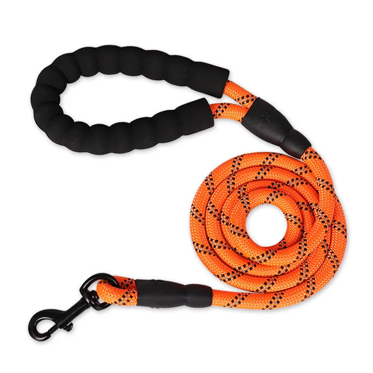 Reinforced Leashes for Dogs