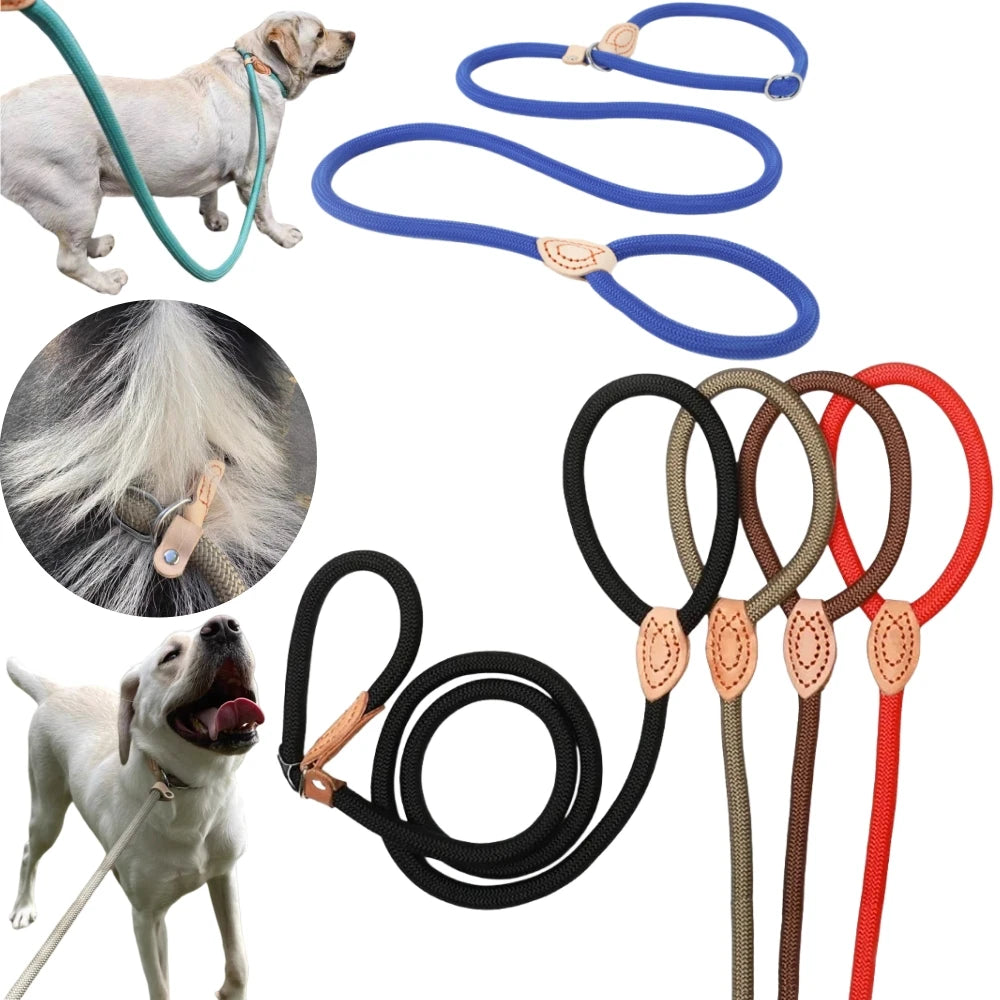 Dog Slip Rope Lead Leash