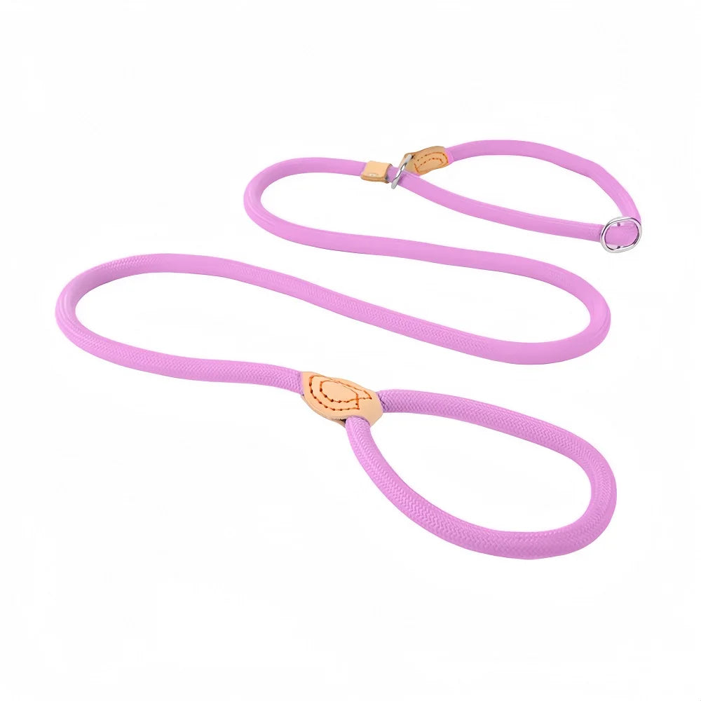 Dog Slip Rope Lead Leash