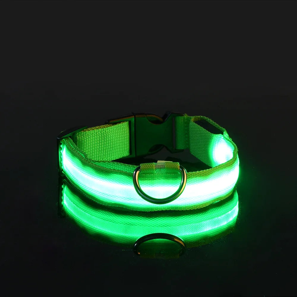 Nylon LED Night Safety Glow In The Dark Dog Leash