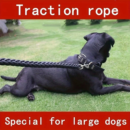 Strong 5-Foot Braided Dog Leash