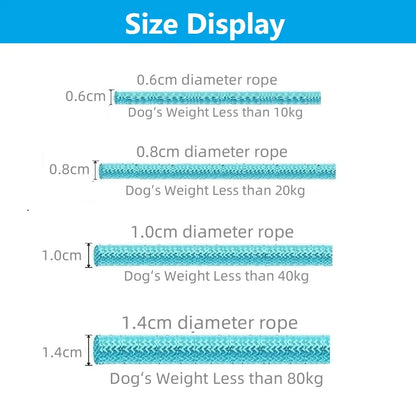 Dog Slip Rope Lead Leash