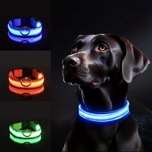Nylon LED Night Safety Glow In The Dark Dog Leash